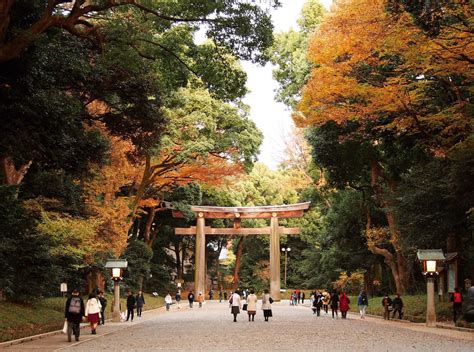 東京 風水|最強！パワースポット巡りin東京｜日本交通東京観光 